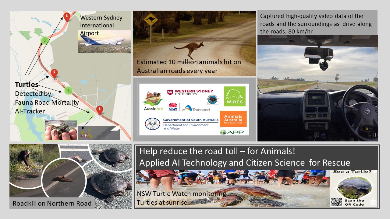 SEEING ROADKILL OR DEAD ANIMALS ALONG YOUR PATH visual data 5